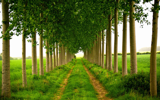 509671 (a): :2560x1600